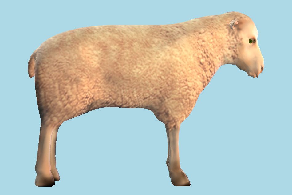 White Sheep 3d model