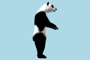 Panda 3d model