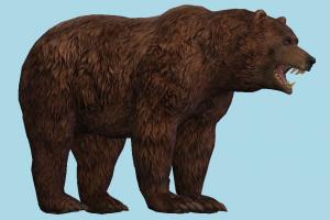 Bear bear