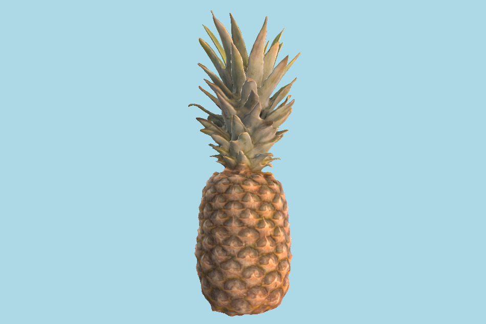 Pineapple 29 3d model