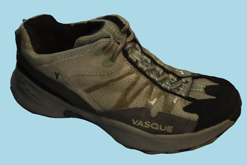 Shoe 3d model