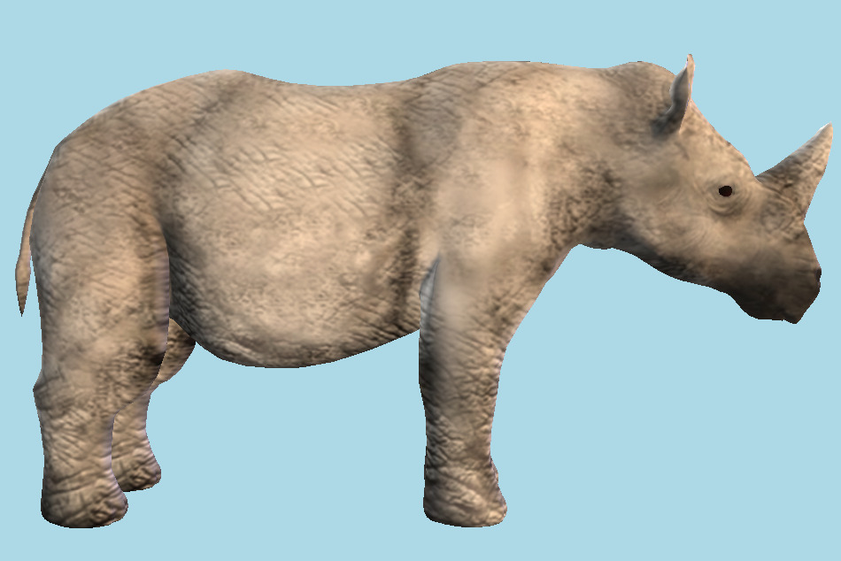White Rhinoceros Wild Animal 3d model