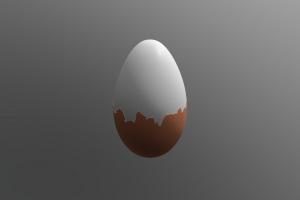 Boiled Egg raw, bird, egg, chicken, shell, breakfast, brown, protein, fresh, healthy, eggshell, uncooked, animal