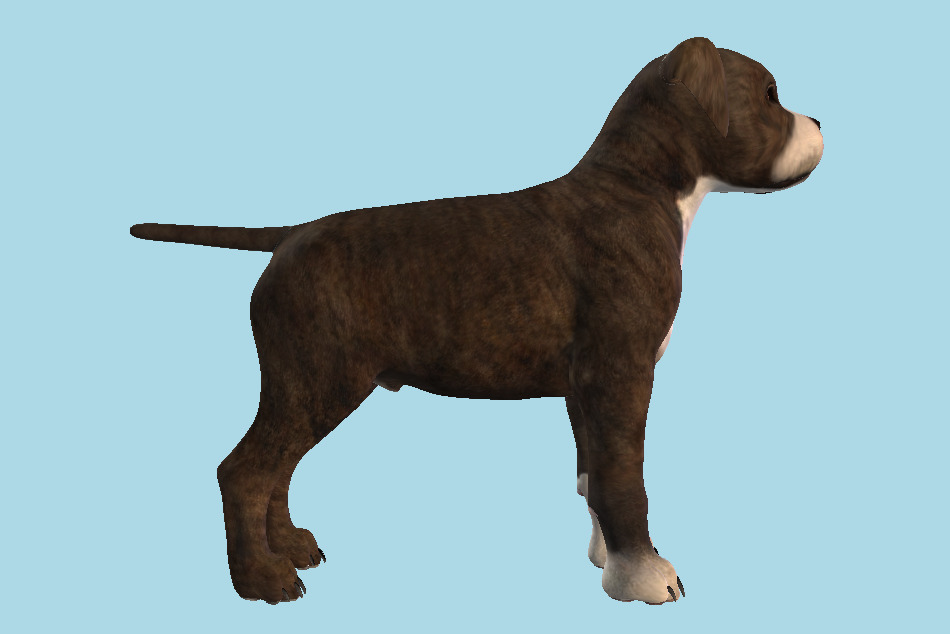 Staffordshire Dog 3d model