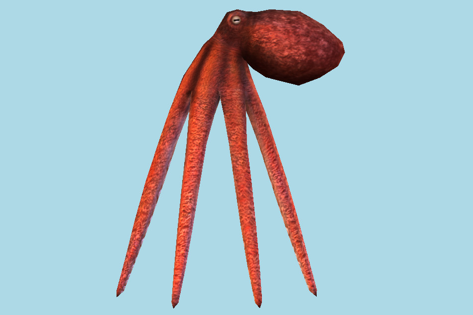Sealife Octopus 3d model