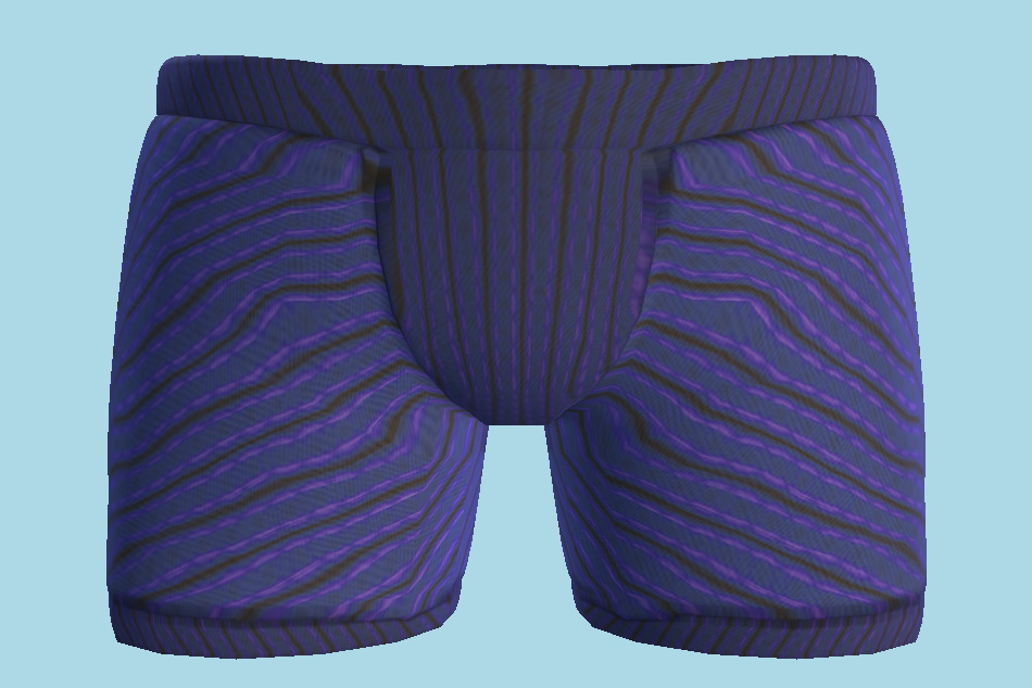 Boy Shorts Underwear 3d model