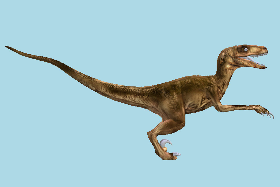 Dinosaur Raptor 3d model