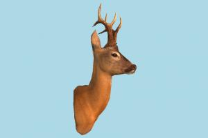 Deer Head deer, head, gazelle, elk, reindeer, animal, animals, wild, nature, mammal, ruminant, zoology, predator, prey