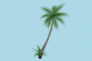 Prop Rim Palm A mdl, hlmdl, halflife, palm, tree, animated