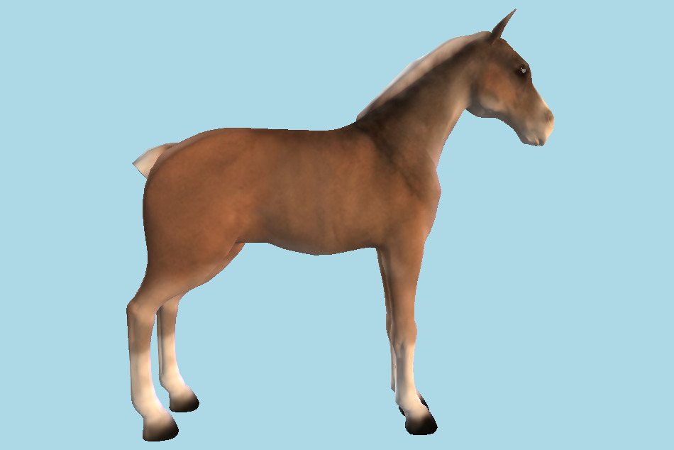 Colonial Spanish Horse Animal 3d model