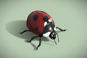 Animated Ladybug (Coccinella Septempunctata) coccinelle, insect, inkscape, flying, land, b3d, bug, beetle, walking, landing, ladybug, insecte, arthropod, walkcycle, walk_cycle, rigged-and-animation, low_poly, blender, lowpoly, blender3d, creature, animal, animation, animated, rigged, gimp, coleopterous, lift-off, coccinellaseptempunctata