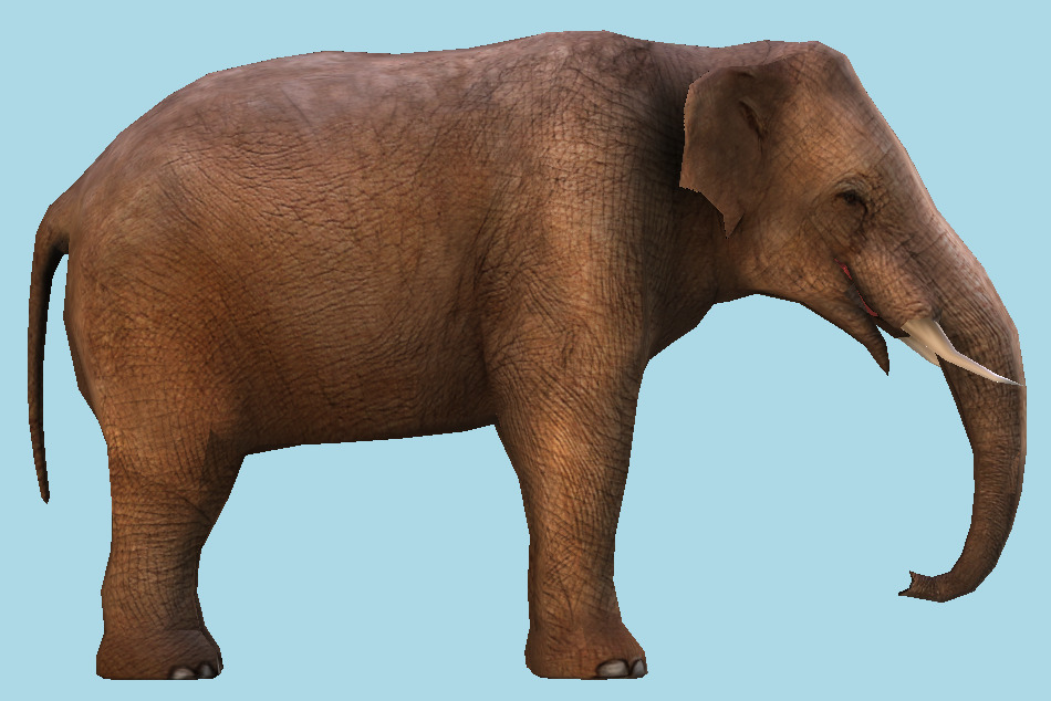 Safari Elephant 3d model
