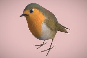 Robin Bird forest, bird, robin, song, blender, animated, rigged