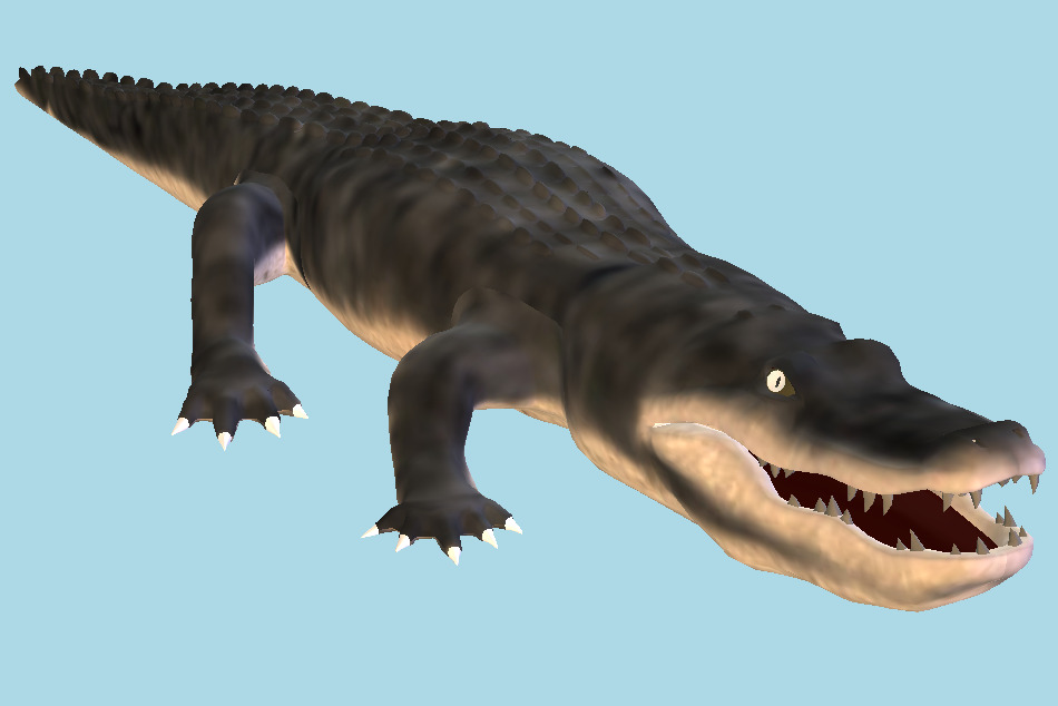 Alligator Crocodile 3d model