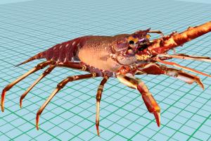 Lobster Lobster-2