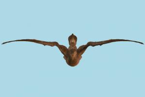 Aalscholver bird, wings, aalscholver, photogrammetry, scan, animal, wing