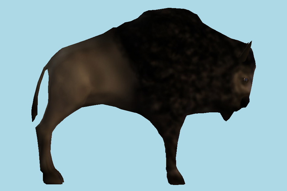 American Bison 3d model