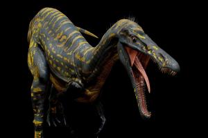 Suchomimus [ 4K textures Rigged ] dinosaure, spinosaurus, dinosaurs, jurassicpark, jurassicworld, suchomimus, blender