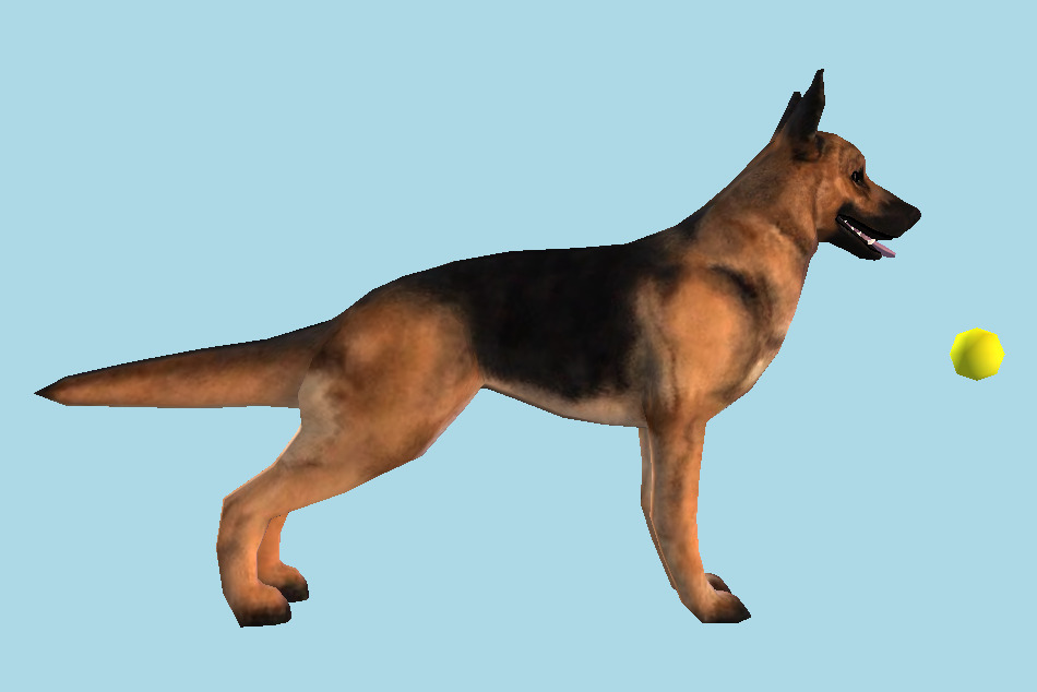 Avatar Marketplace German Shepherd Dog 3d model