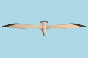 Seagull gull, seagull, bird, air-creature