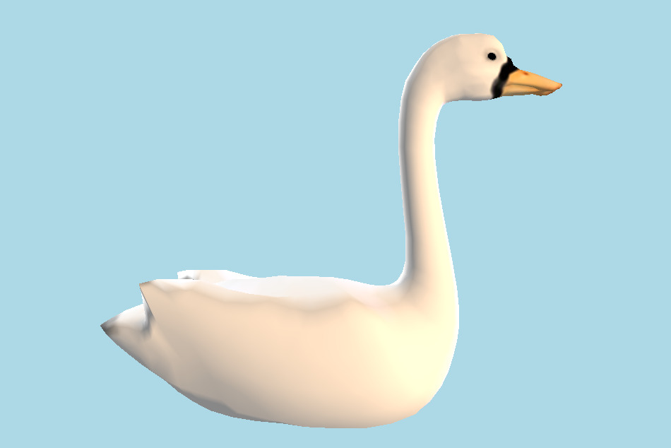 Swan White Duck 3d model