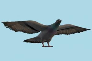 Pigeon Detroit, Become-Human, pigeon, bird, air-creature, nature