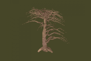 tree01 branch