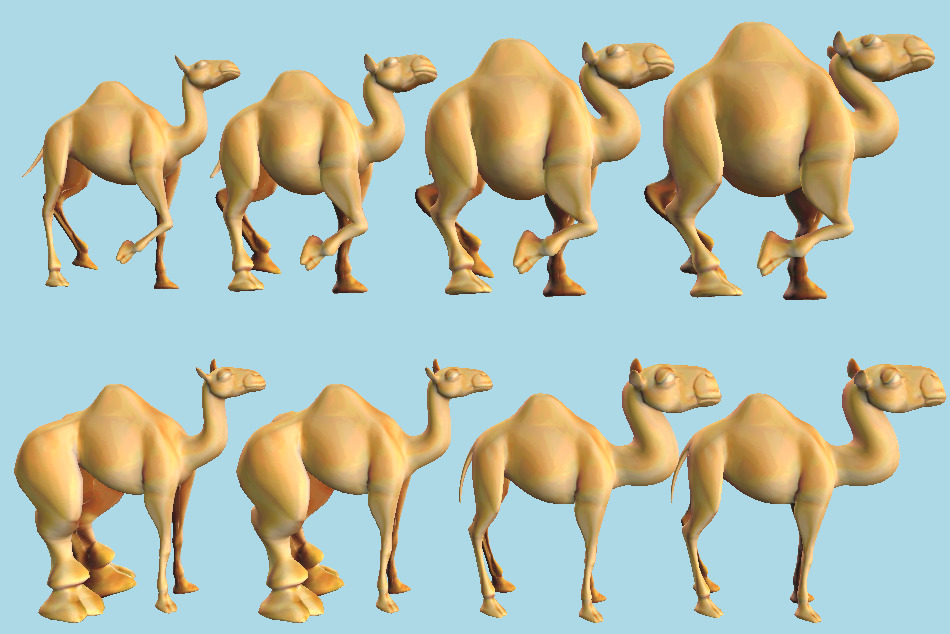 Apinzonf Shape Enhanced Camel Collection 3d model