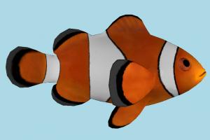 Clownfish fish, sea-creature, fishing, clown, aquarium, color, water, sea, ocean