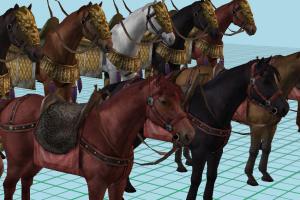 Horse Collection 3d model