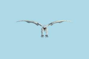 JF_BlueEyesWhit JF_BlueEyesWhiteDragon