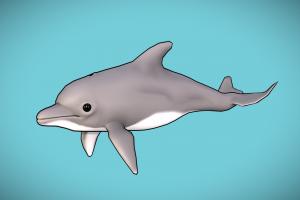 Dolphin b3d, dolphin, cartoonish, water, swim, swimming, swimcycle, low_poly, low-poly, cartoon, blender, blender3d, creature, animal, animation, animated, sea