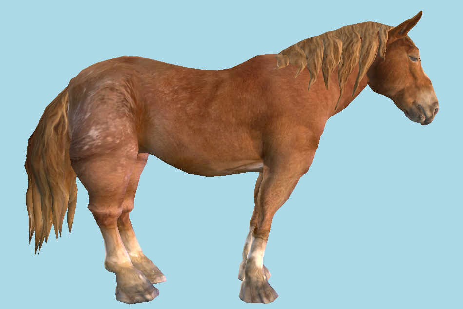 Horse Animal 3d model