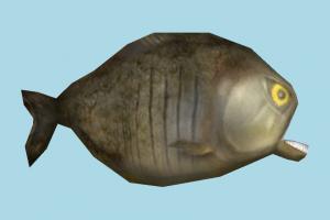 Fish Piranha-Fish