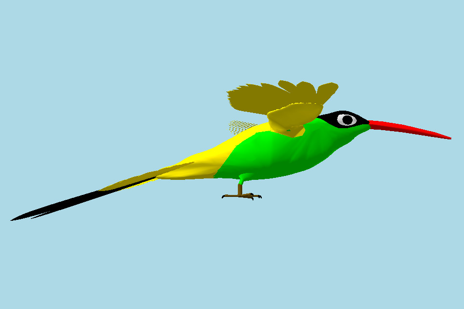 Humming Bird 3d model