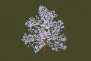 Tree tree