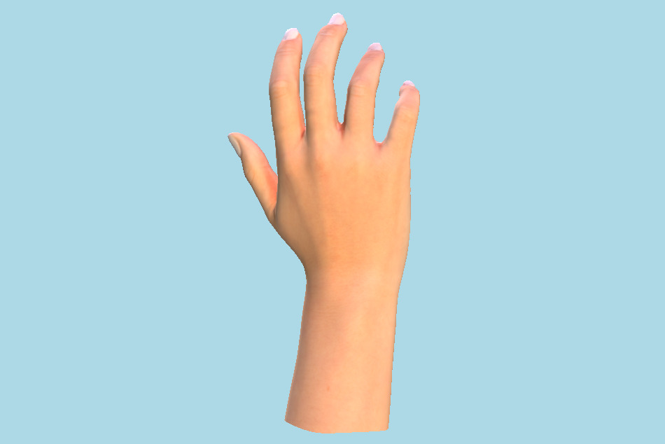Female Hand 3d model