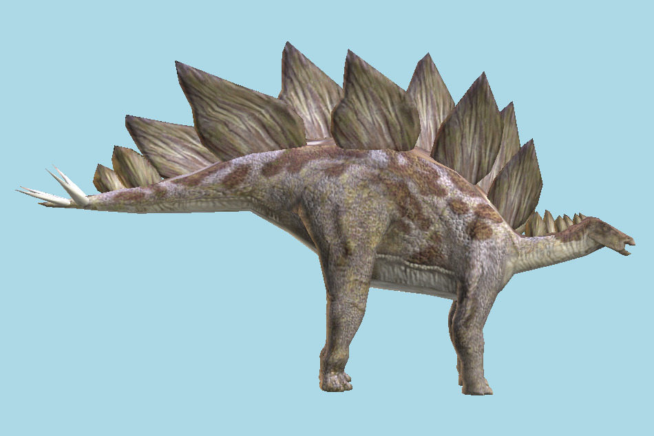Stegosaurus Dinosaur 3d model