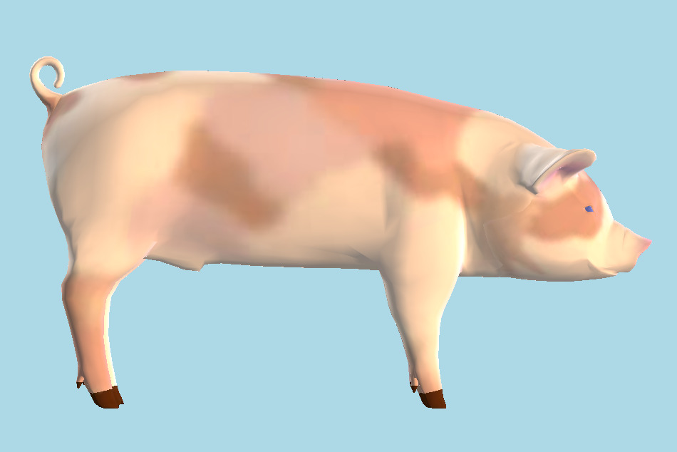 Pig Domestic Piglet 3d model