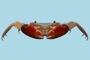 Crab 6-3