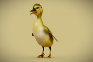 Ducky the duck ducky, cartoon, blender, free