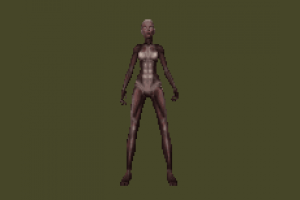 dopple woman2
