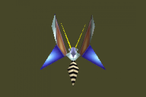 Killer-Bee bird
