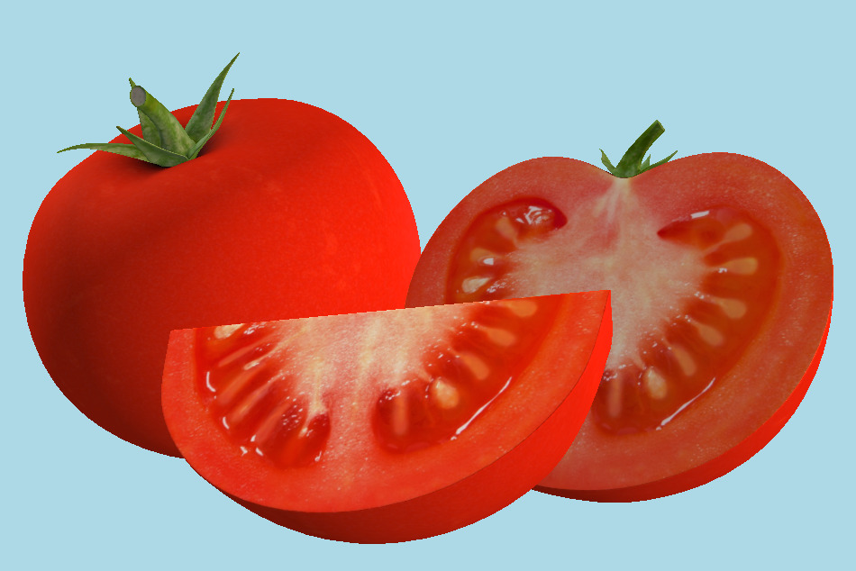 Tomato Comp 3d model