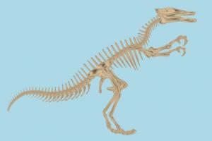 Dinosaur Skeleton Dinosaur-Skeleton