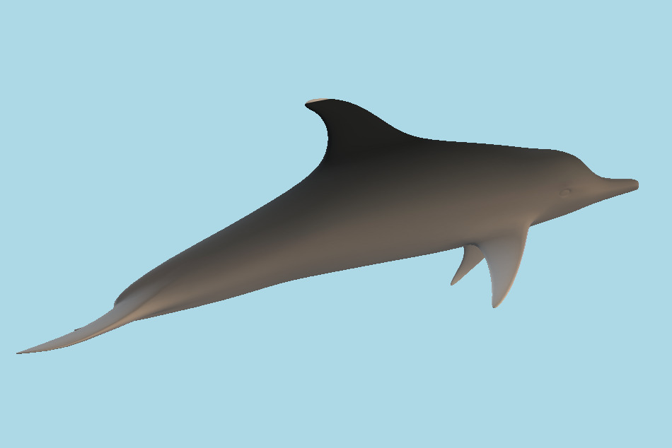 Flipper Dolphin 3d model
