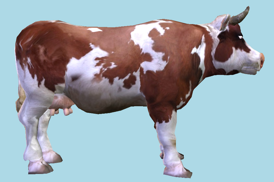 Cow Animal 3d model