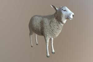 Sheep sheep, oveja, animals, mammal, fbx, farm, realistic, nature, game-ready, lowpoly, low, poly, animal