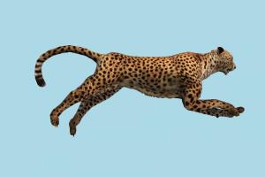 Cheetah Run animated, cheetah, tiger, animal, animals