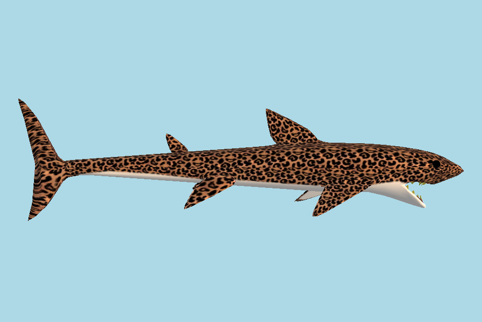Lepered Shark 3d model